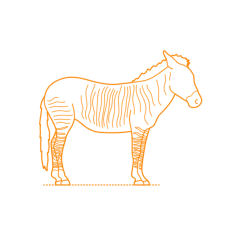 Animals Equines Zonkey Svg Line Art, Free Vectors File